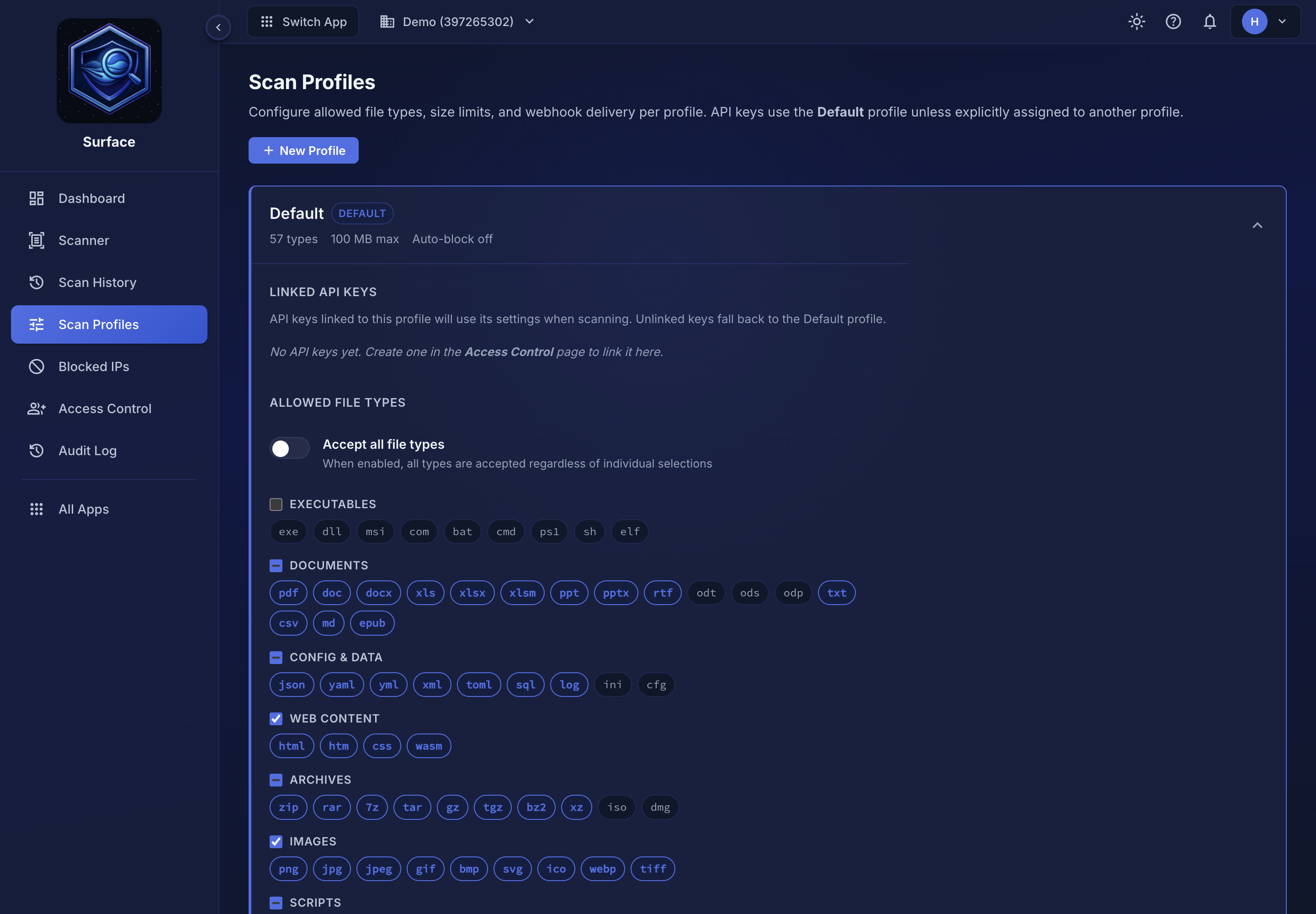 The Surface scan profile editor, expanded to show the allowed file type categories